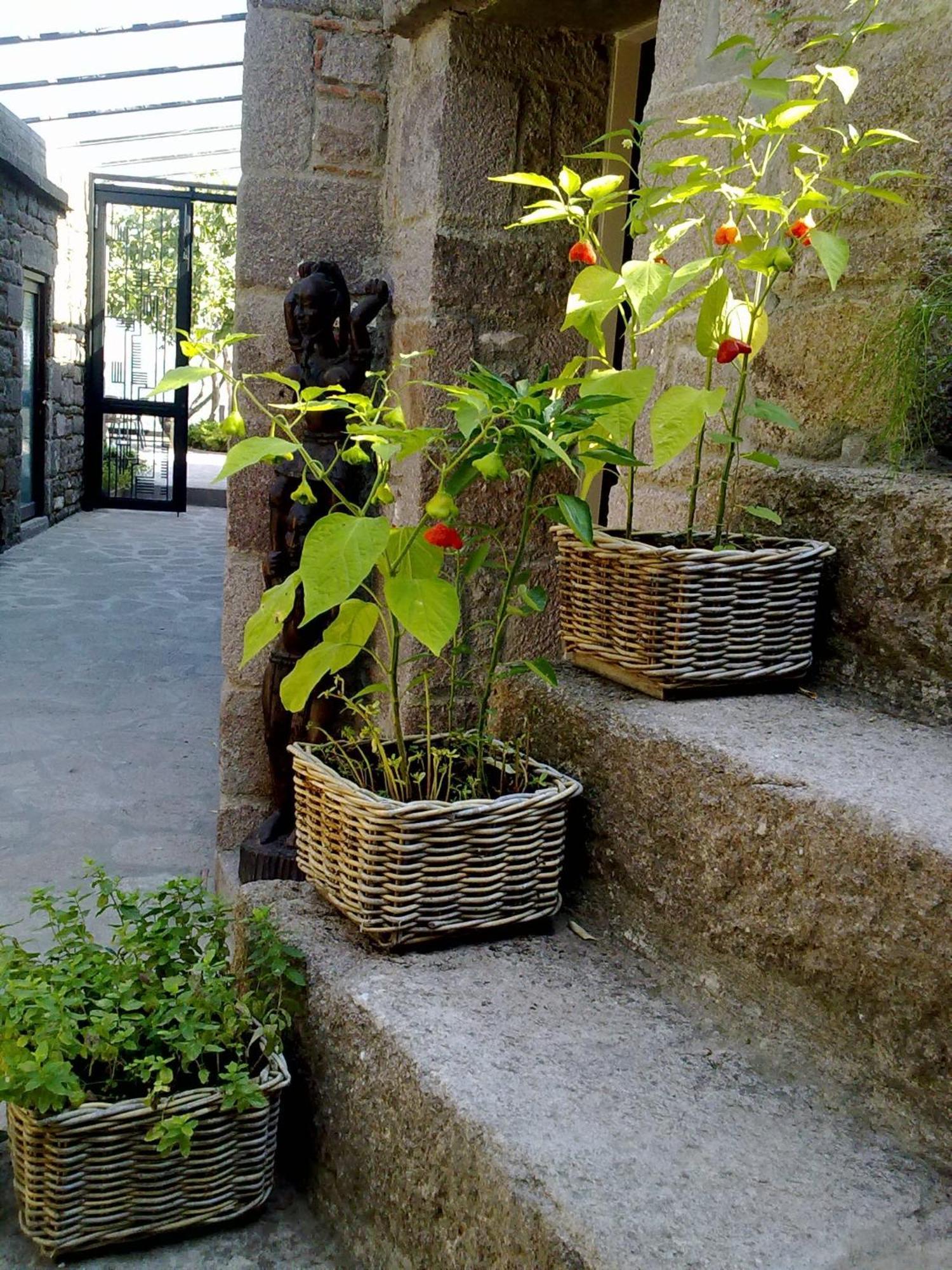 Assosyal Hotel Exterior photo